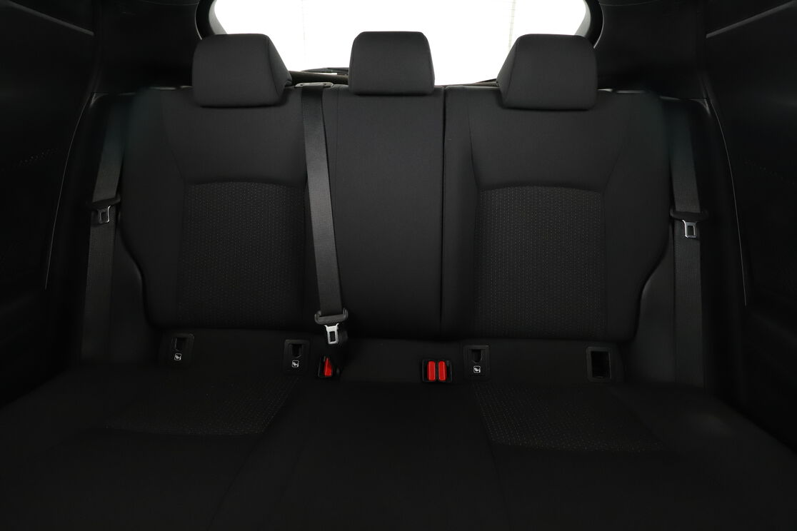 Interior asiento trasero