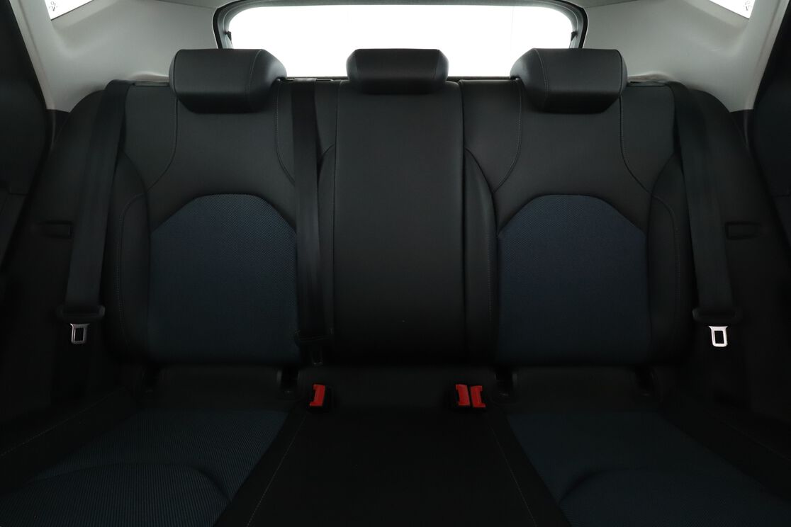 Interior asiento trasero