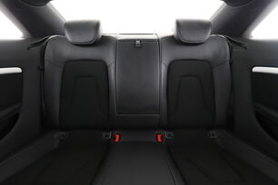 Interior asiento trasero