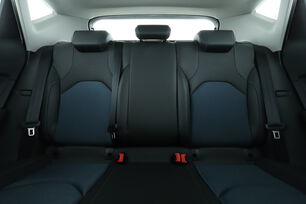 Interior asiento trasero