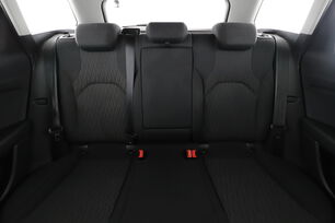 Interior asiento trasero