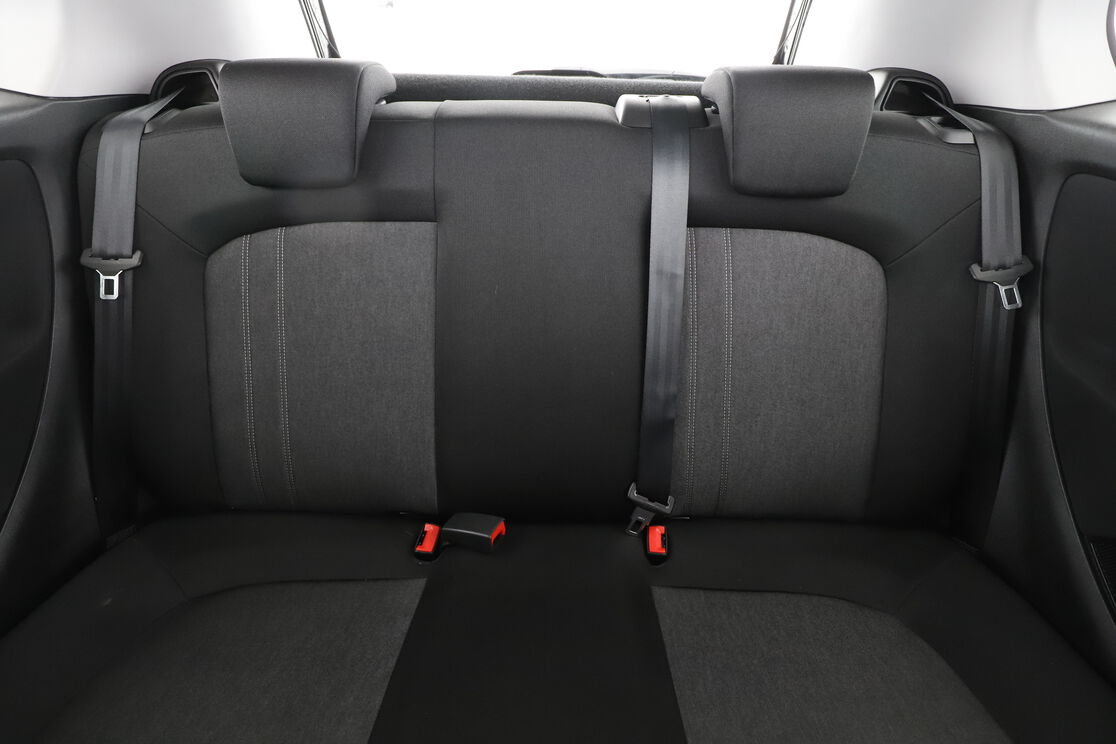 Interior asiento trasero