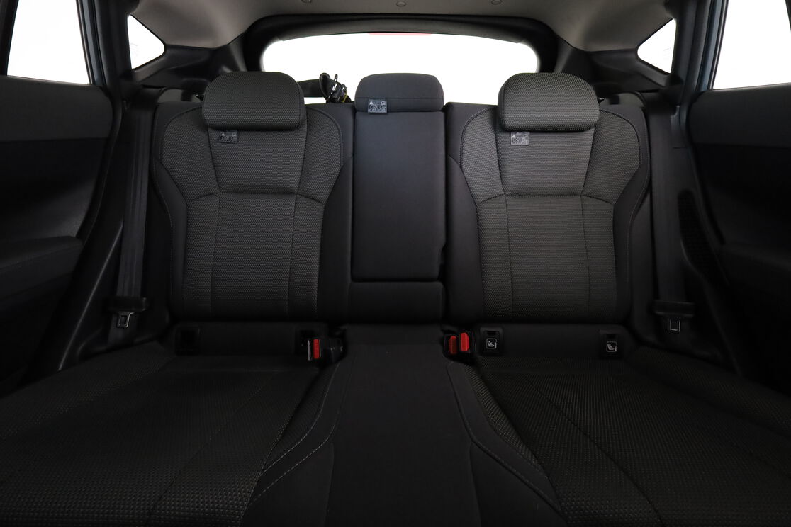 Interior asiento trasero