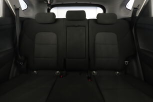 Interior asiento trasero