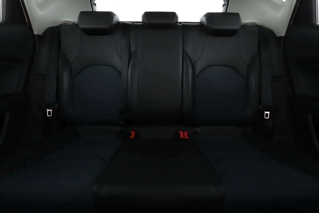 Interior asiento trasero