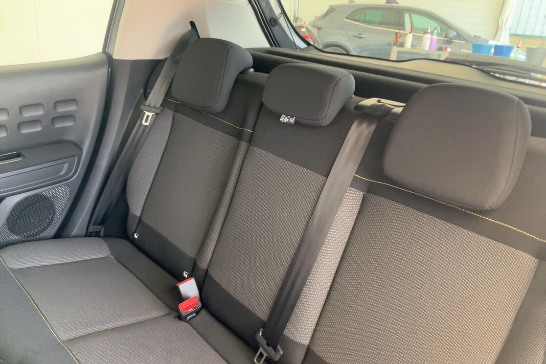 Interior asiento trasero