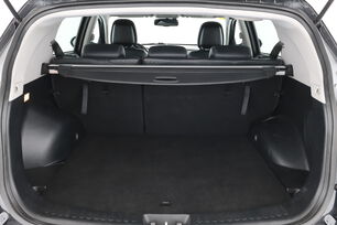 Interior asiento trasero