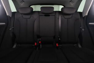 Interior asiento trasero