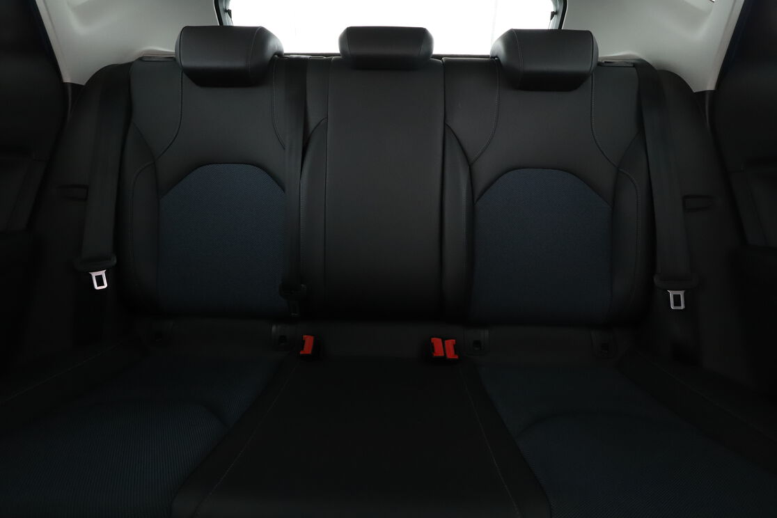 Interior asiento trasero