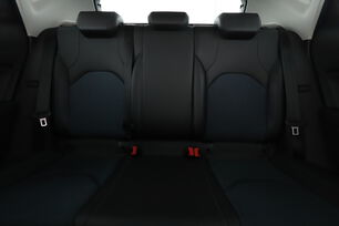 Interior asiento trasero