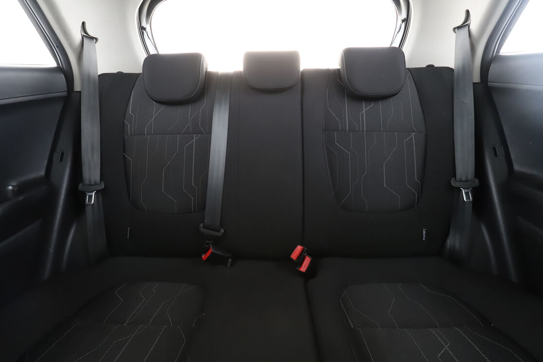 Interior asiento trasero