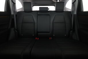 Interior asiento trasero