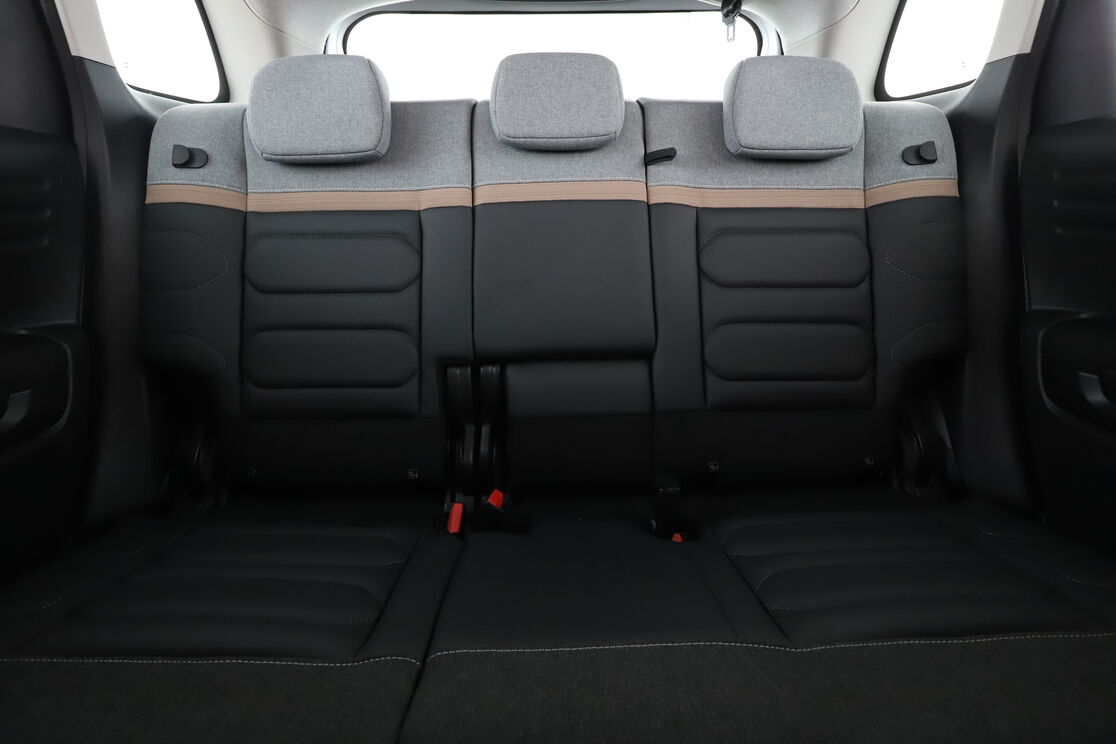 Interior asiento trasero