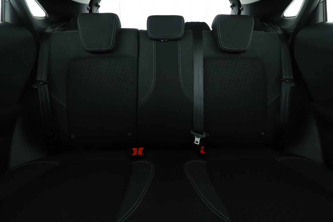 Interior asiento trasero