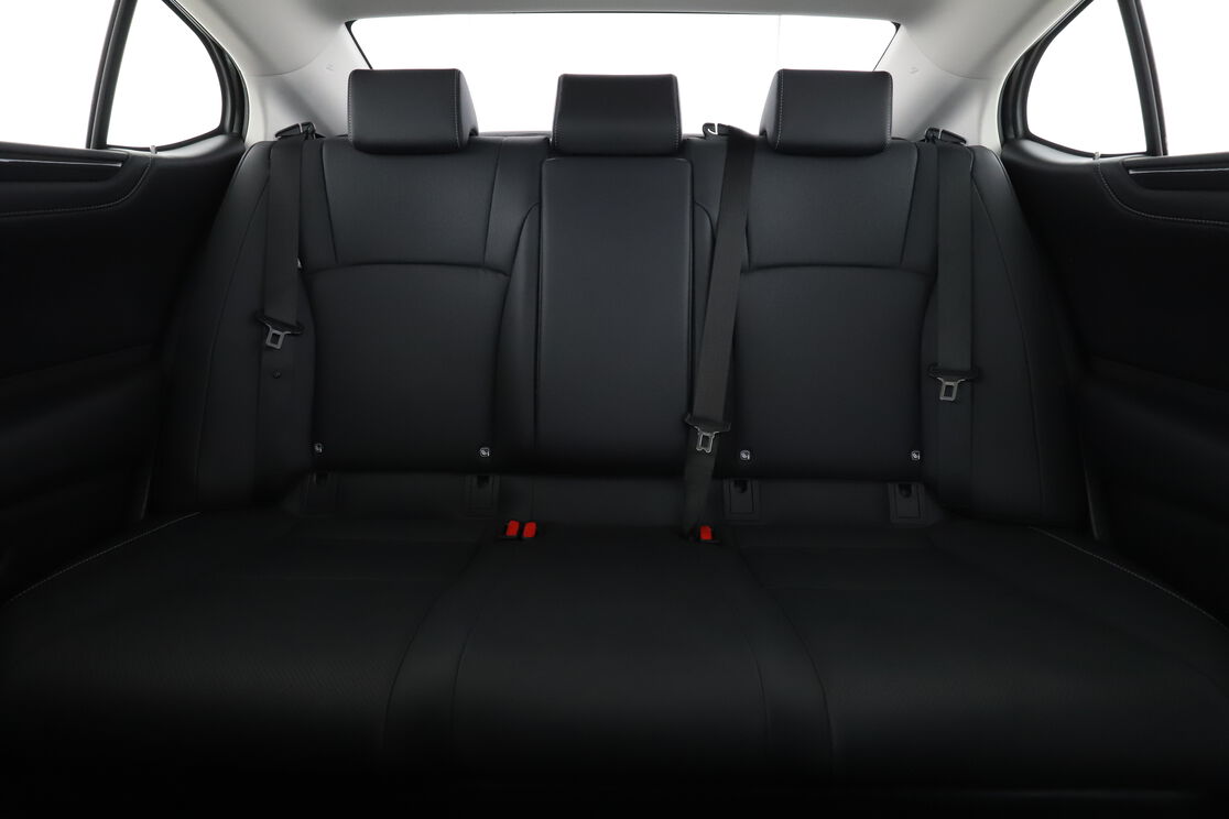 Interior asiento trasero