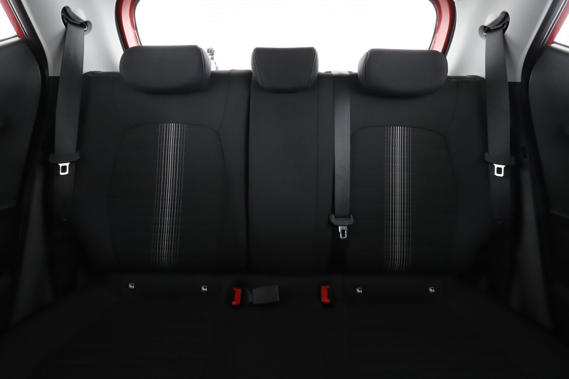 Interior asiento trasero