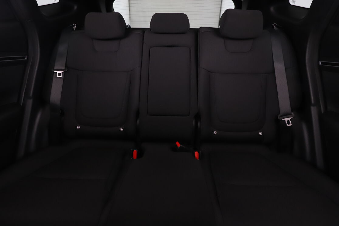 Interior asiento trasero