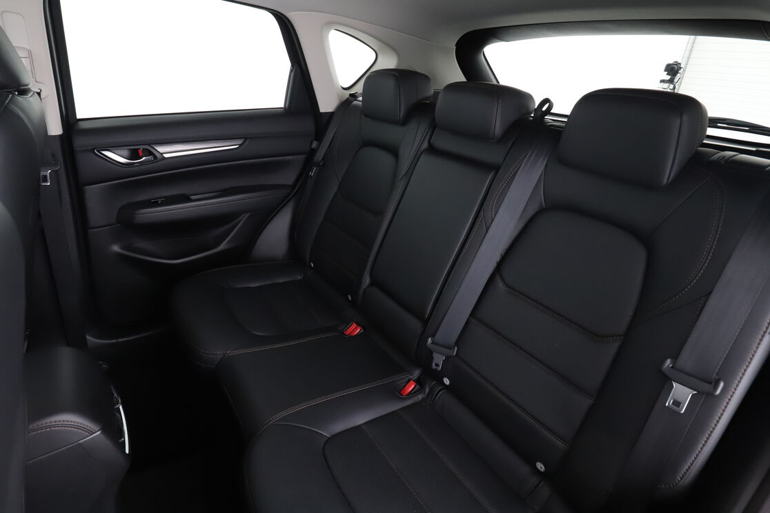 Interior asiento trasero