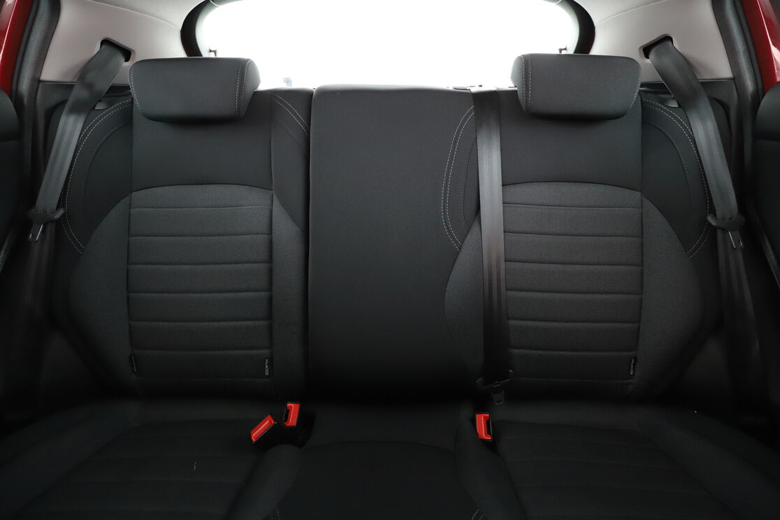 Interior asiento trasero