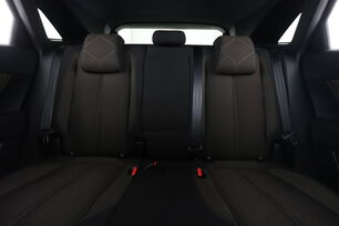 Interior asiento trasero