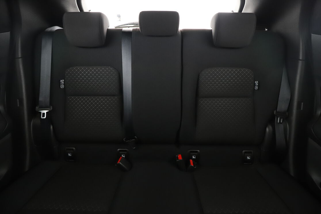 Interior asiento trasero